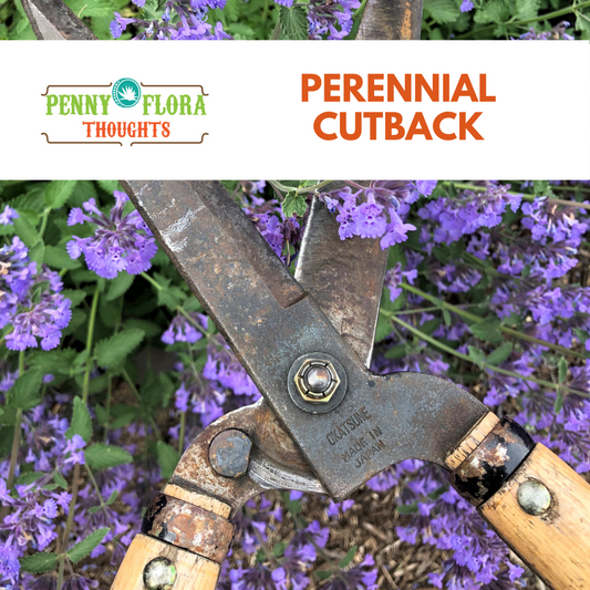 Perennial Cutback