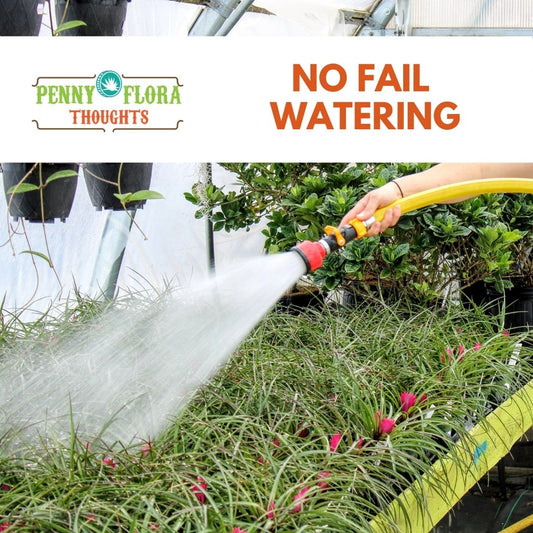 No Fail Watering