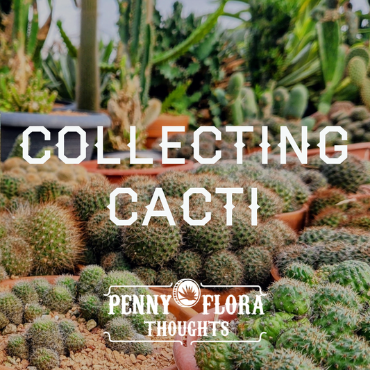 Collecting Cacti