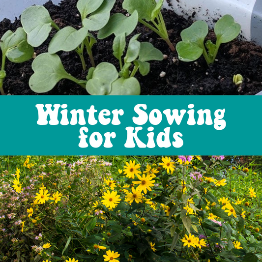 Winter Sowing for Kids