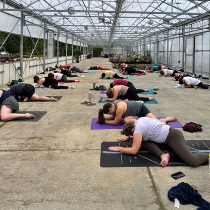 Yoga at the Ranch | Feb 2nd 9:00am