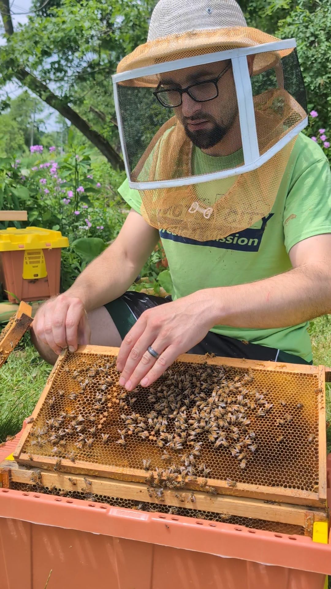 Beginning Beekeeping | Feb 22 | 10 am