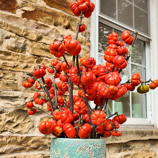 Pumpkin on a Stick