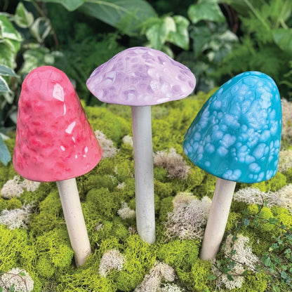 Shroomeez (Be Speckled) Trio  #5